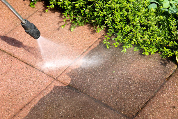  Fraser, CO Pressure Washing Pros