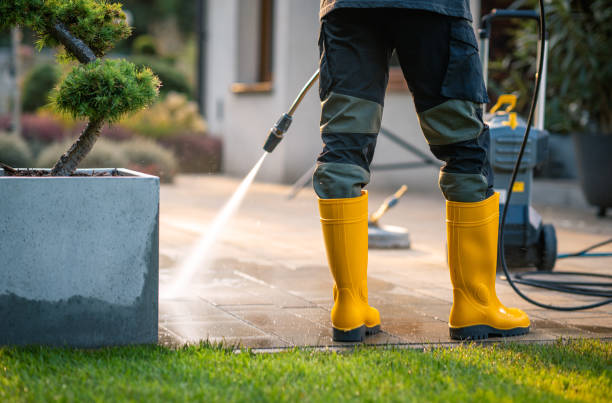 Best Exterior Home Cleaning  in Fraser, CO